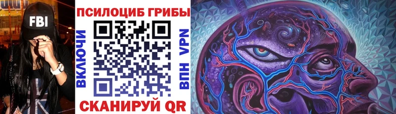 Галлюциногенные грибы Psilocybe  Вяземский 