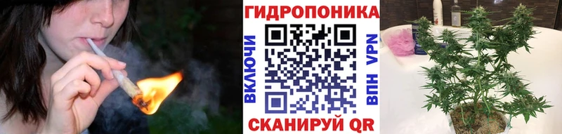 купить   Вяземский  Каннабис AK-47 
